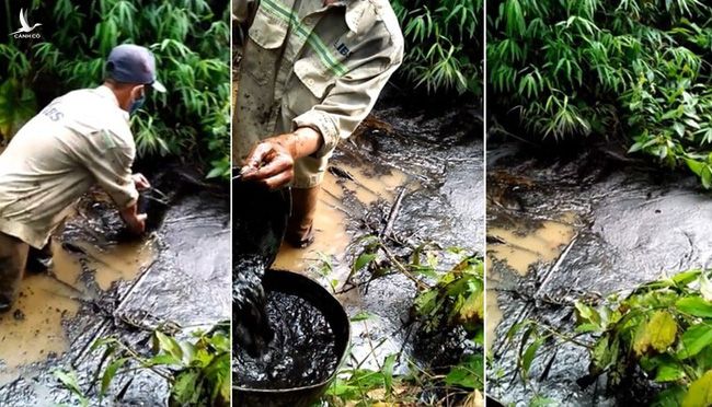 Công ty sông Đà thuê người dân vớt dầu thải với giá 500.000 đồng/ngày công từ ngày 9/10 