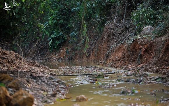 Cty nước Sông Đà lắp lưới lọc dầu sau 1 tuần xảy ra sự cố đổ trộm dầu thải - Ảnh 10.