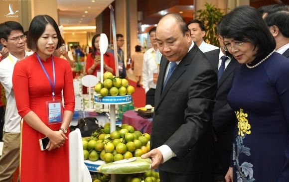 thu tuong: phai khai thac duoc loi the, tiem nang cua kinh te tap the hinh 4