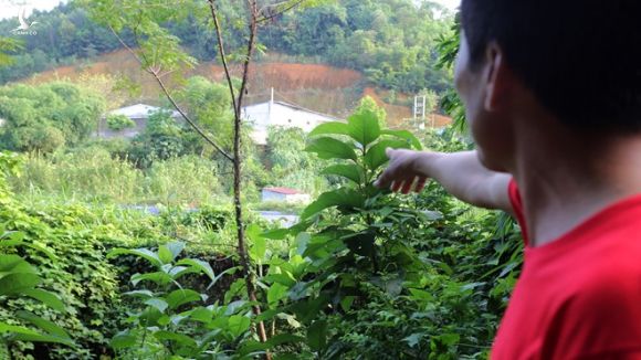 Anh Nguyễn Văn Hiến dẫn phóng viên đi tìm hiểu nguồn xả thải của trang trại lợn Japfa /// Ảnh Trần Cường