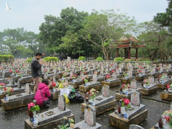 xem xet dat tuong trung tuong dong sy nguyen tai quang tri hinh anh 3