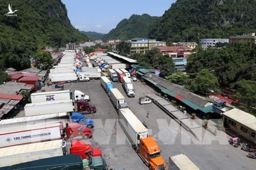 Trung Quốc thay đổi, 500 xe container nông sản tắc cứng ở Tân Thanh