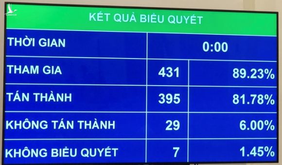 30 đại biểu không đồng ý miễn nhiệm Bộ trưởng Y tế Nguyễn Thị Kim Tiến - ảnh 1