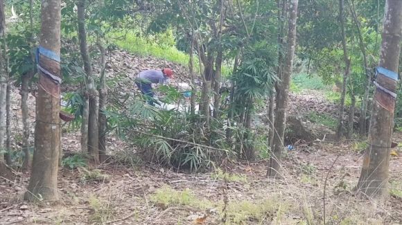 An ninh - Hình sự - Lộ danh tính nạn nhân vụ thi thể không đầu trong bụi rậm ở Bình Phước