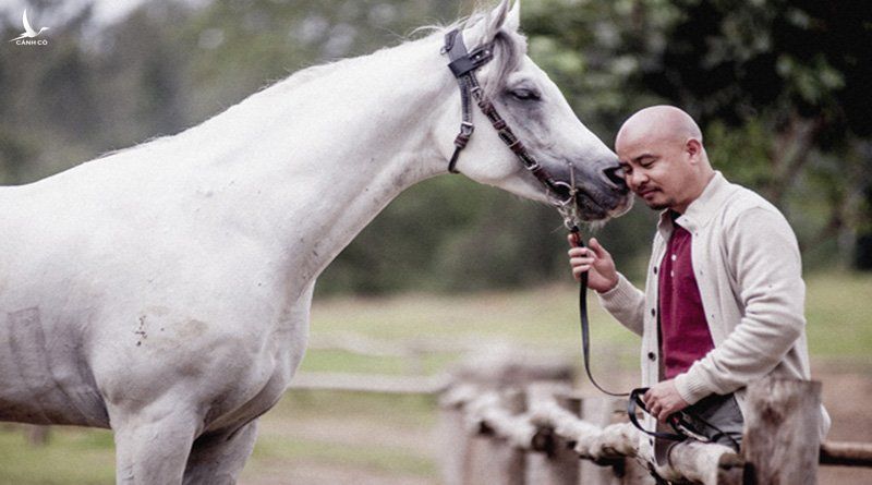 Ông Vũ được coi là người Việt Nam đầu tiên lặn lội sang tận Úc mua ngựa chỉ để về chơi. 
