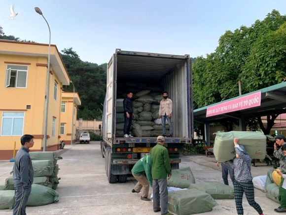 Cận cảnh Bộ Công an bắt giữ cả trăm tấn thuốc bắc nhập lậu từ Trung Quốc - ảnh 1