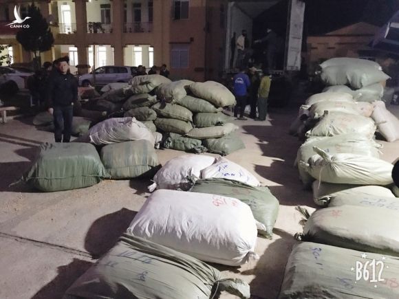 Cận cảnh Bộ Công an bắt giữ cả trăm tấn thuốc bắc nhập lậu từ Trung Quốc - ảnh 3