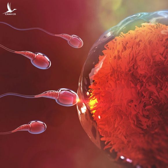 Các nhà khoa học đã phát hiện ra gien gây vô sinh ở nam giới /// Ảnh minh họa: Shutterstock