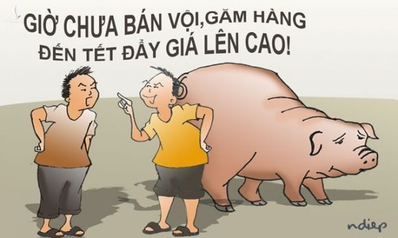 Khi rớt giá thì yêu cầu giải cứu, lúc giá cao thì giở thói găm hàng - 1