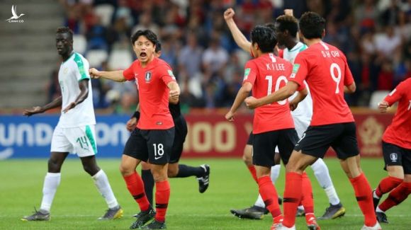 FIFA đưa Việt Nam vào danh sách 12 đội tuyển gây ngạc nhiên nhất thế giới năm 2019 - Ảnh 3.