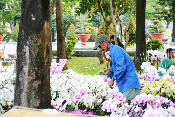 Người Sài Gòn nôn nao chở hoa Tết, vui chơi ngập nhiều ngả đường: Tết về tận cửa! - ảnh 9
