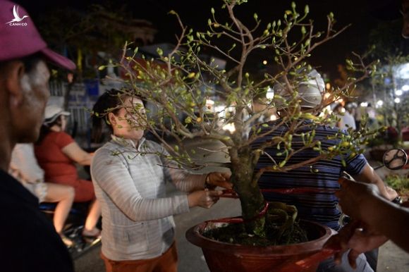 Chợ hoa không nói thách, người Sài Gòn vui vẻ mua hoa đến nửa đêm - Ảnh 3.