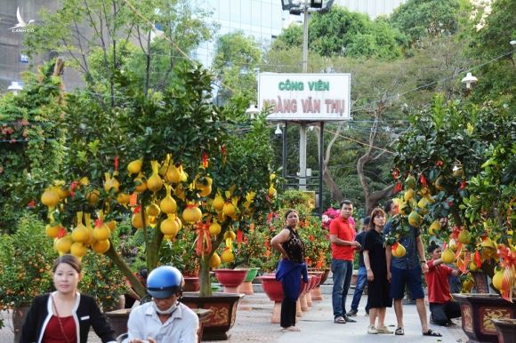 Người Sài Gòn nôn nao chở hoa Tết, vui chơi ngập nhiều ngả đường: Tết về tận cửa! - ảnh 10