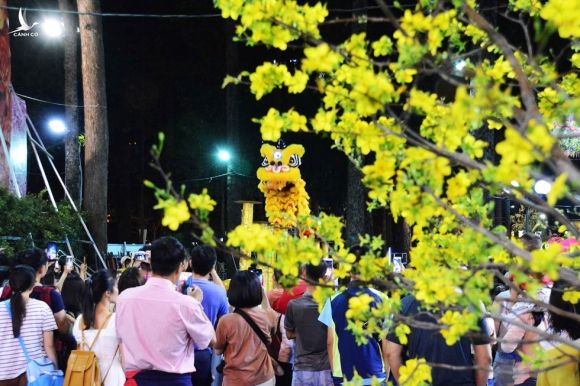 Người Sài Gòn nôn nao chở hoa Tết, vui chơi ngập nhiều ngả đường: Tết về tận cửa! - ảnh 19