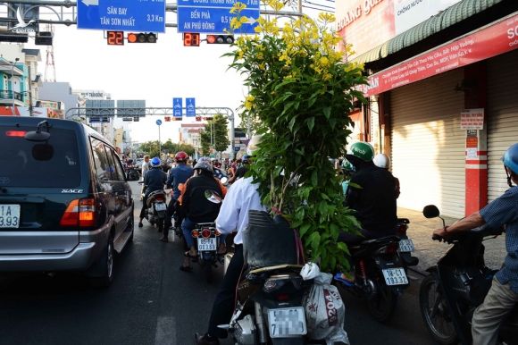 Người Sài Gòn nôn nao chở hoa Tết, vui chơi ngập nhiều ngả đường: Tết về tận cửa! - ảnh 2