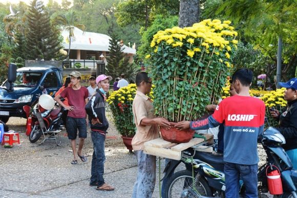 Người Sài Gòn nôn nao chở hoa Tết, vui chơi ngập nhiều ngả đường: Tết về tận cửa! - ảnh 3
