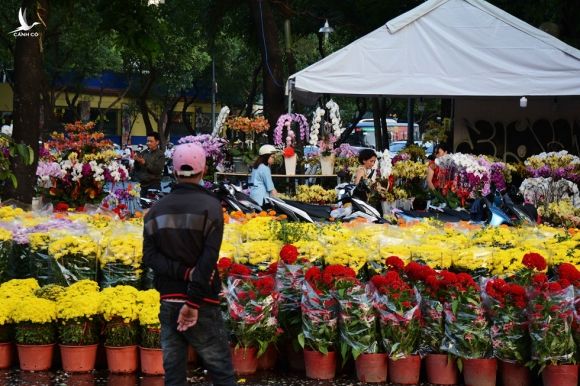 Người Sài Gòn nôn nao chở hoa Tết, vui chơi ngập nhiều ngả đường: Tết về tận cửa! - ảnh 7
