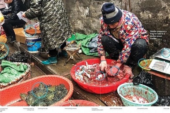 Có gì bên trong chợ hải sản Hoa Nam, nơi bùng phát virus corona