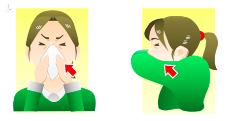 Phòng chống virus Vũ Hán: BS Phạm Nguyên Quý chỉ ra hậu quả tệ hại khi hắt xì lấy bàn tay che mũi, miệng - Ảnh 4.