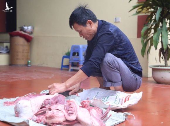 Mổ lợn gói bánh chưng đón Tết ở Đồng Tâm - 2