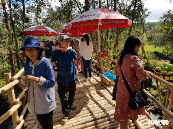 Khách đi cầu Tre dài nhứt Việt Nam 10km mỏi chân thì ăn buffet bánh tét, bánh bò - Ảnh 2.