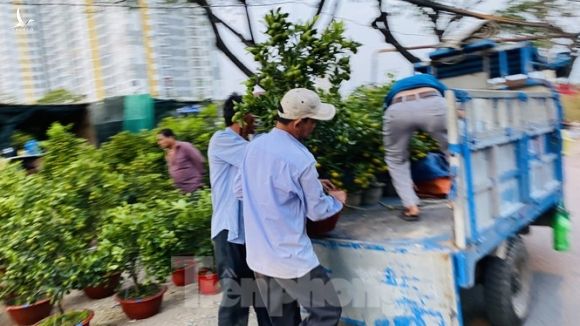 Người Sài Gòn đổ xô đi mua hoa, đường sá kẹt cứng vào cuối ngày - ảnh 15