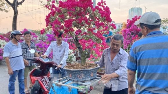 Người Sài Gòn đổ xô đi mua hoa, đường sá kẹt cứng vào cuối ngày - ảnh 8