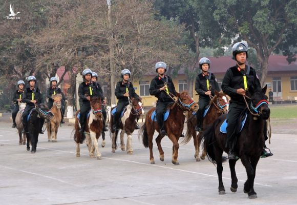 Cảnh sát cơ động cưỡi ngựa diễu hành, biểu diễn hôm 21/1 tại Bộ Tư Lệnh Cảnh sát cơ động. Ảnh: Trần Nam