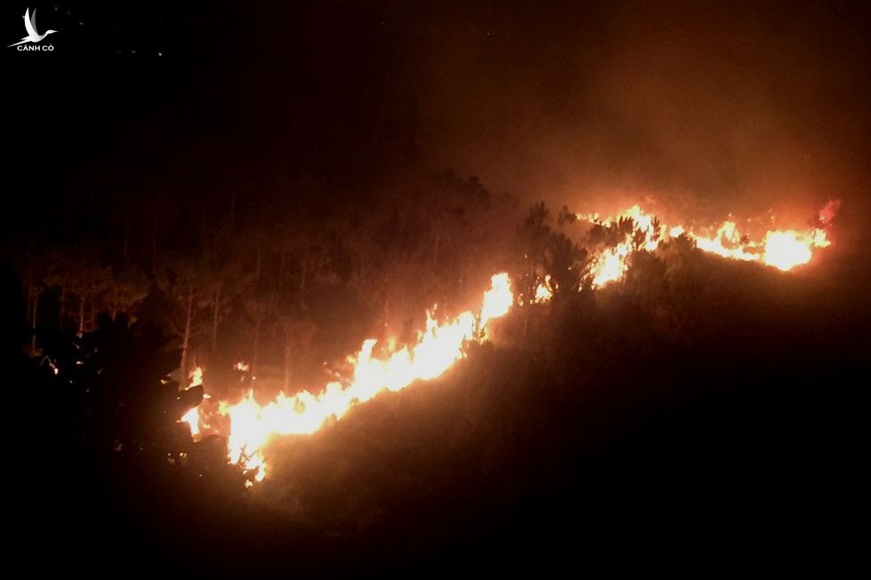 Lâm Đồng: Vụ cháy lớn trên núi Đại Bình đang ngày càng lan rộng - ảnh 2
