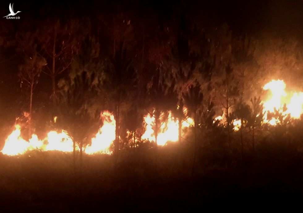 Lâm Đồng: Vụ cháy lớn trên núi Đại Bình đang ngày càng lan rộng - ảnh 3