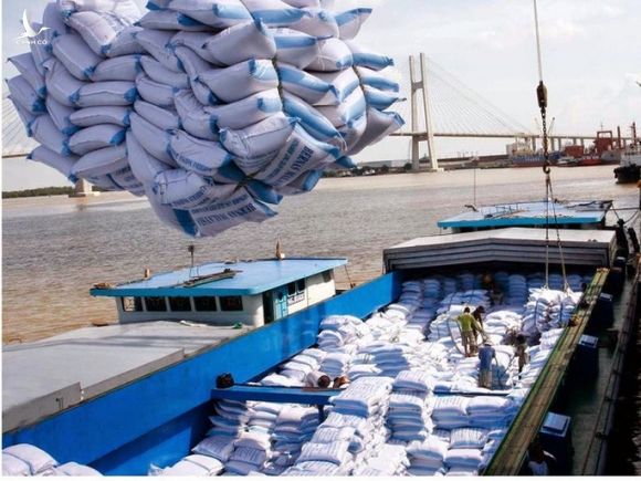 Thủ tướng yêu cầu Bộ Công Thương rút kinh nghiệm trong việc tham mưu xuất khẩu gạo - Ảnh 1.