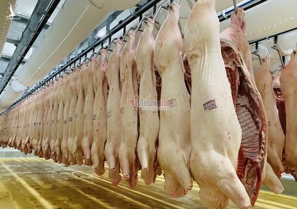 Sau 2 tuần giảm, giá thịt lợn lại tăng vọt lên mức kỷ lục