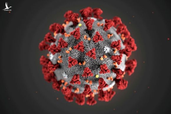 Hình vẽ mô phỏng virus Corona chủng mới /// Reuters