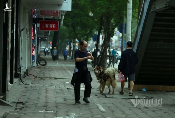 Cách ly xã hội, xe cộ đầy đường, dân thả cần say sưa câu cá