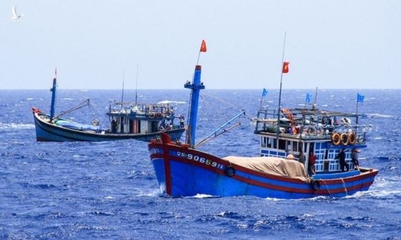 Tàu cá của ngư dân Việt Nam hoạt động ở Hoàng Sa tháng 5/2014. Ảnh: Nguyễn Đông.