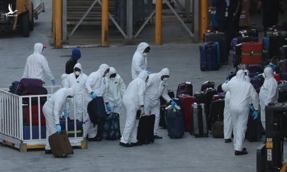 Công nhân mặc đồ bảo hộ kiểm tra hành lý trên từ du thuyền Hà Lan Zaadam sau khi nó cập cảng ở Florida, Mỹ hôm 2/4. Ảnh: AFP.
