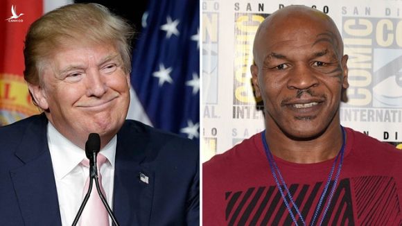 Mike Tyson và Tổng thống Mỹ Donald Trump đã có thời gian hợp tác với nhau /// Chụp màn hình