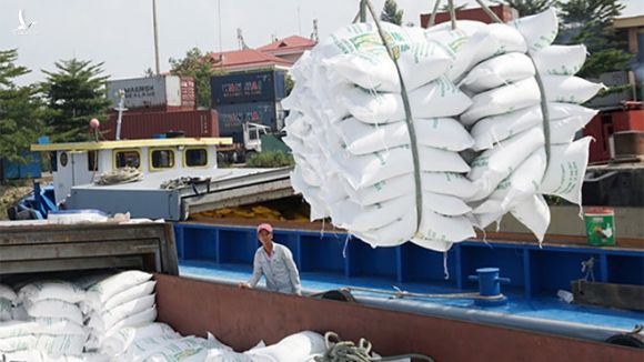 Bộ NN-PTNT đề nghị Bộ Công thương tiếp tục cho xuất khẩu gạo nếp /// Ảnh Gia Hân