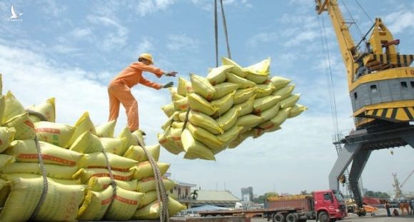 tong cuc hai quan len tieng ve viec ban to khai xuat khau gao vao luc nua dem hinh 1