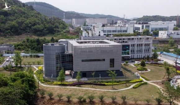 Phòng thí nghiệm Vũ Hán lên tiếng về nghi vấn làm rò rỉ virus SARS-CoV-2 - 1