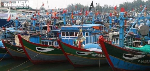 Trung Quốc đơn phương cấm đánh bắt cá trên Biển Đông: ‘Cấm cứ cấm, đánh cứ đánh’ - 2