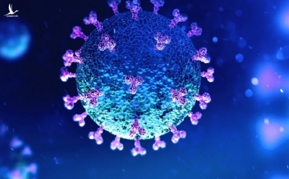 WHO khẳng định virus SARS-CoV-2 "có nguồn gốc tự nhiên"