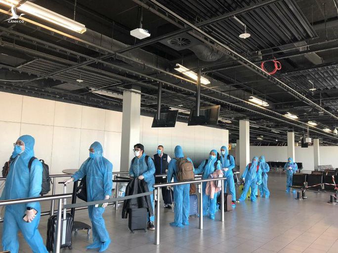 Sân bay Tân Sơn Nhất đón hơn 300 công dân Việt Nam từ châu Âu, châu Phi - Ảnh 2.