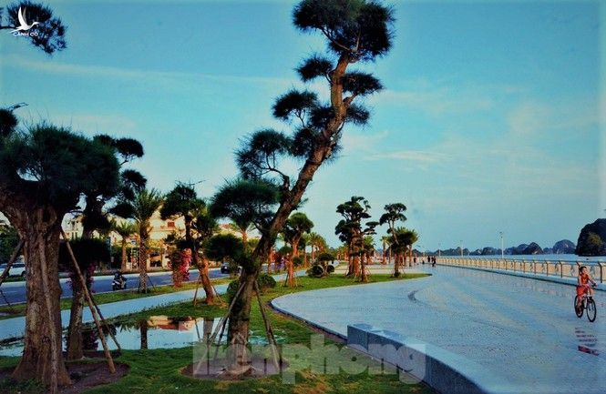 Thủ tướng dự Lễ khánh thành tuyến đường bao biển đẹp nhất Quảng Ninh - ảnh 7