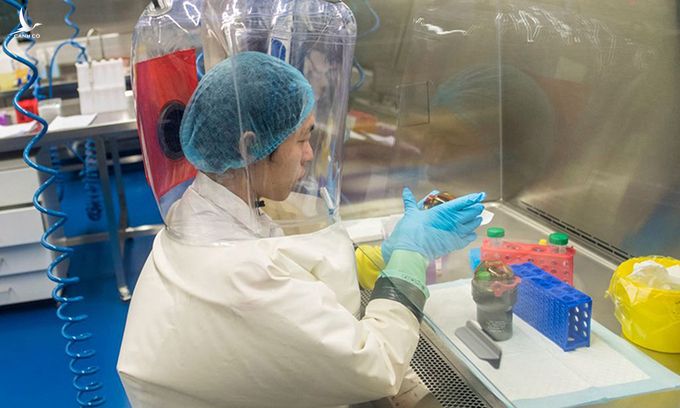 Một nhà nghiên cứu đang làm việc trong phòng thí nghiệm tại Viện Virus học Vũ Hán, hồi tháng 2/2017. Ảnh: AFP.
