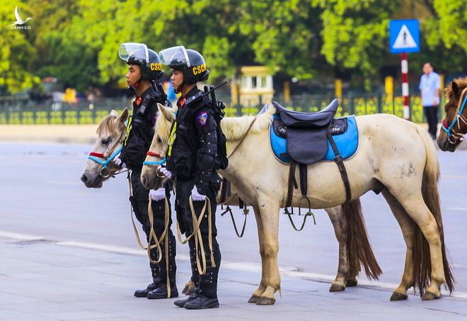 Ấn tượng hình ảnh lực lượng Cảnh sát cơ động Kỵ binh trong lễ ra mắt - Ảnh 4.