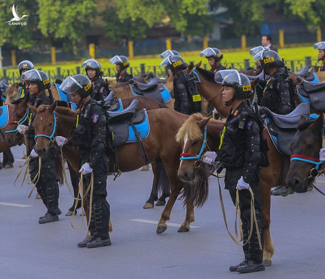 Ấn tượng hình ảnh lực lượng Cảnh sát cơ động Kỵ binh trong lễ ra mắt - Ảnh 5.