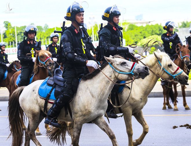 Ấn tượng hình ảnh lực lượng Cảnh sát cơ động Kỵ binh trong lễ ra mắt - Ảnh 6.