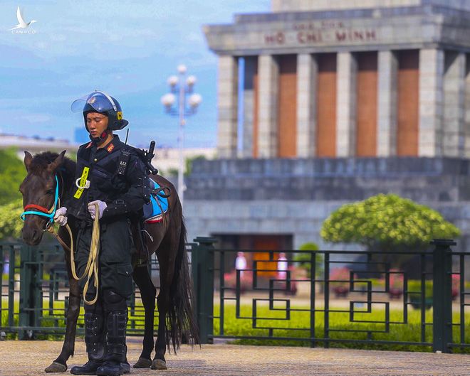 Ấn tượng hình ảnh lực lượng Cảnh sát cơ động Kỵ binh trong lễ ra mắt - Ảnh 7.