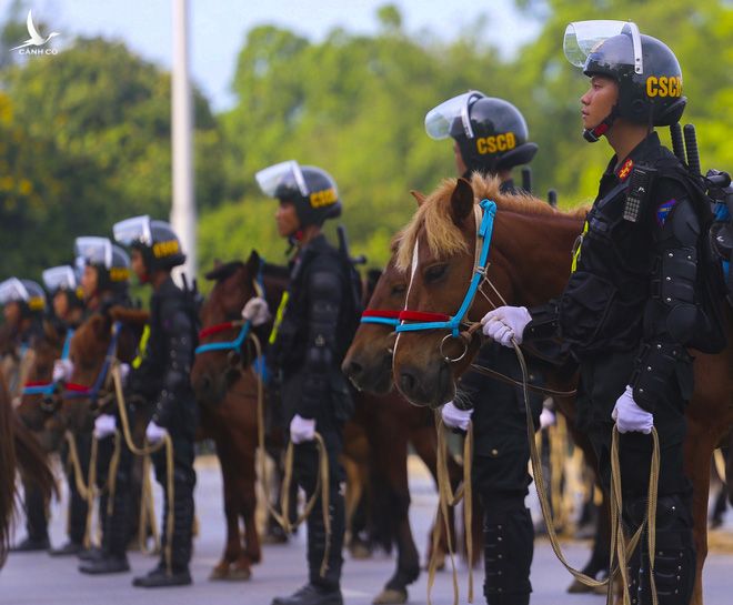 Ấn tượng hình ảnh lực lượng Cảnh sát cơ động Kỵ binh trong lễ ra mắt - Ảnh 2.